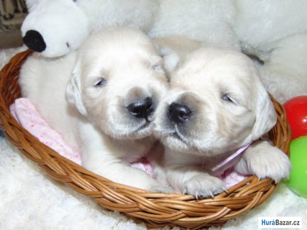 detailní fotografie