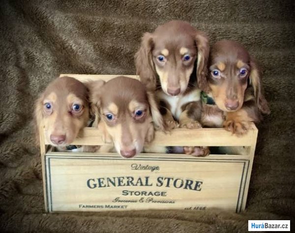 detailní fotografie