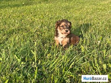 detailní fotografie