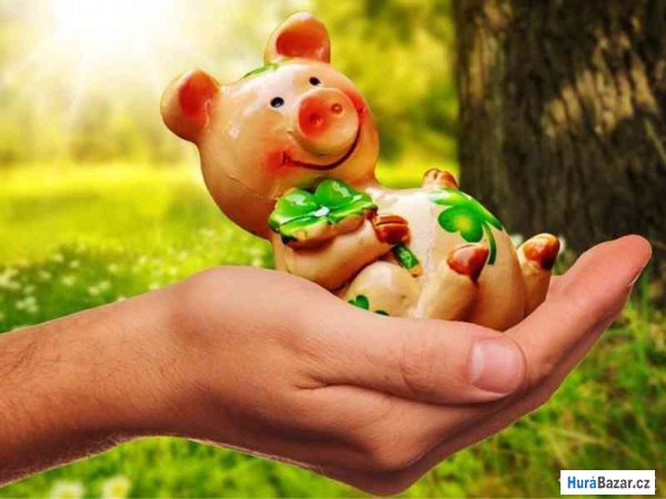 detailní fotografie