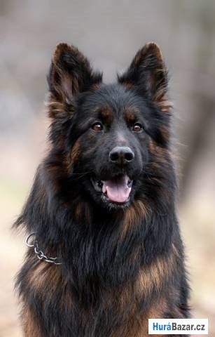 detailní fotografie