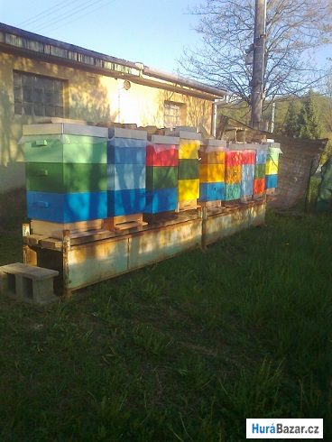 detailní fotografie