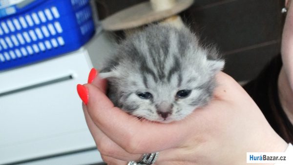 detailní fotografie