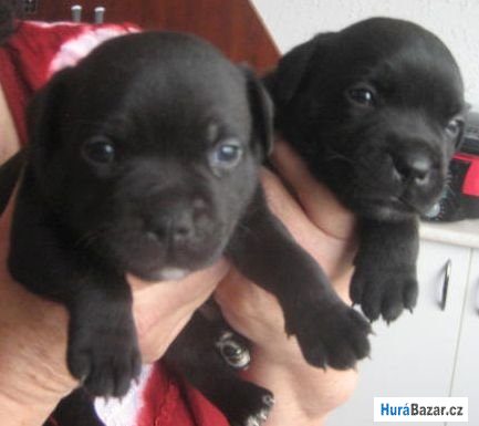 detailní fotografie