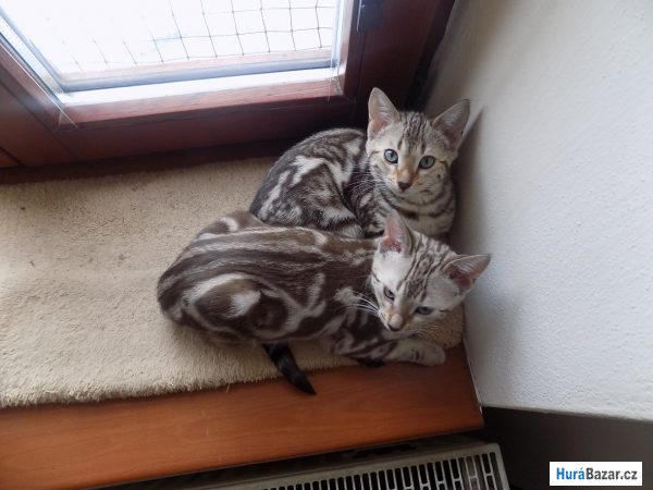 detailní fotografie