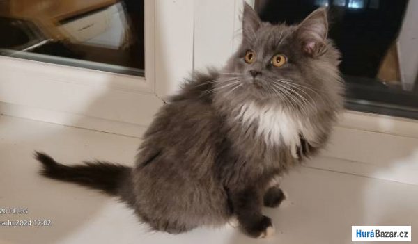 detailní fotografie