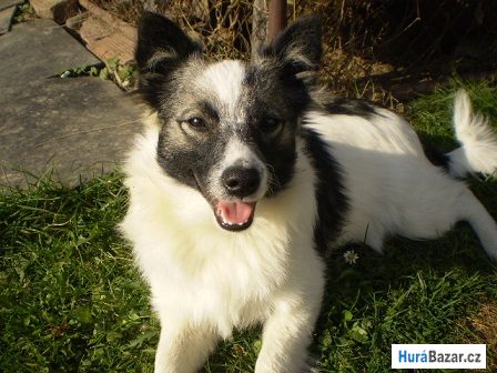 detailní fotografie