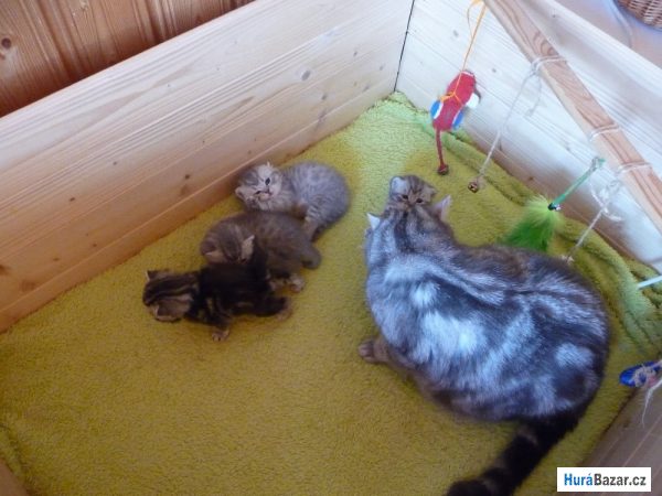 detailní fotografie