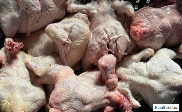 detailní fotografie