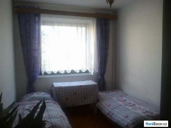 detailní fotografie