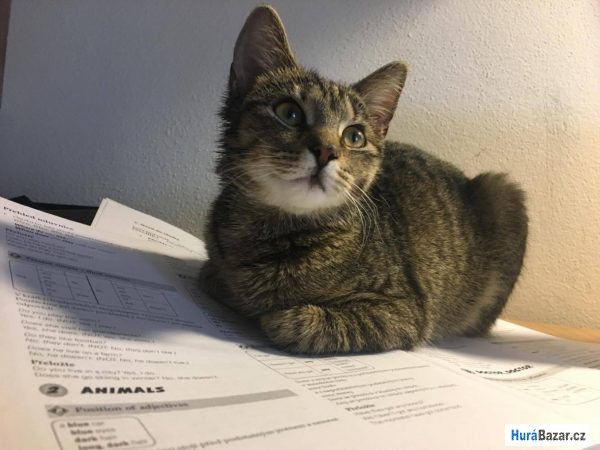 detailní fotografie