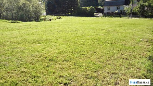 detailní fotografie