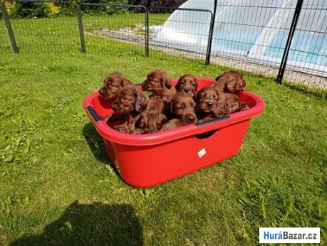 detailní fotografie