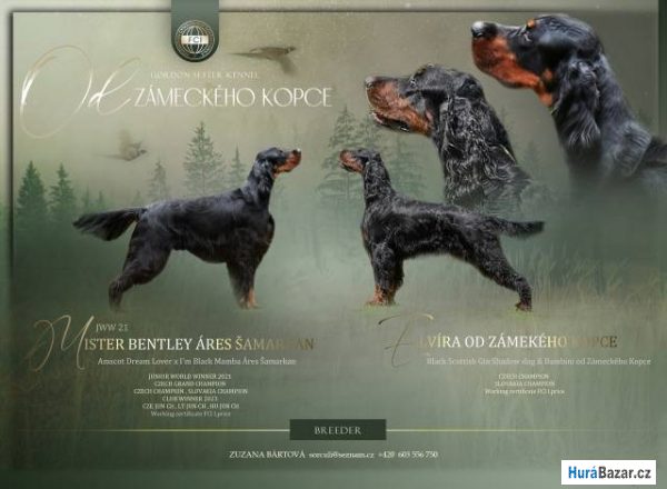 detailní fotografie