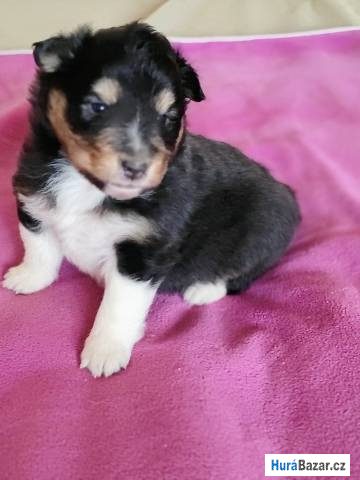 detailní fotografie