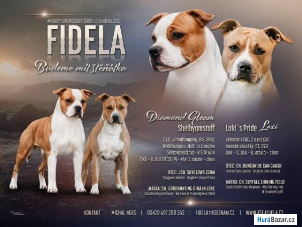 detailní fotografie