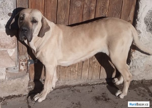 detailní fotografie