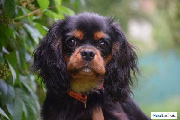 detailní fotografie