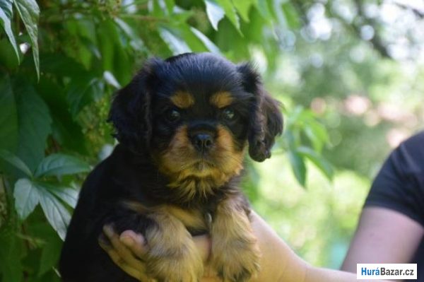 detailní fotografie