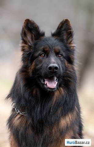 detailní fotografie