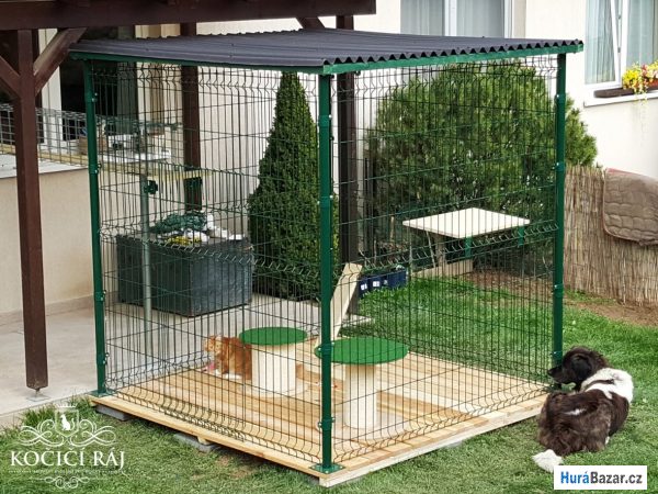 detailní fotografie