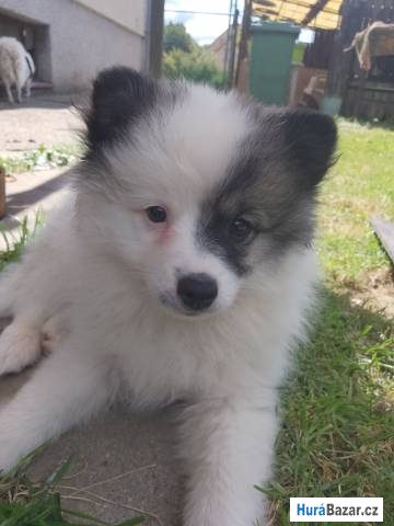 detailní fotografie