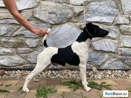 detailní fotografie