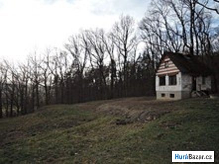 detailní fotografie