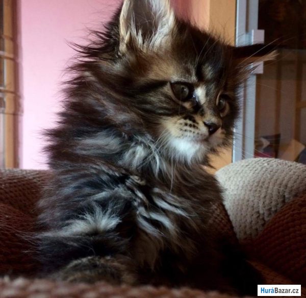 detailní fotografie