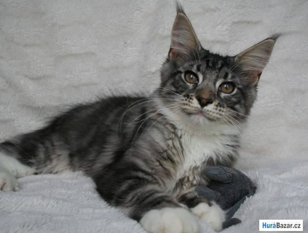 detailní fotografie