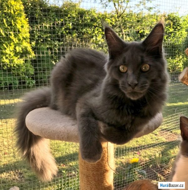 detailní fotografie