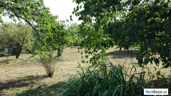 detailní fotografie