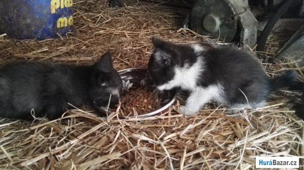 detailní fotografie