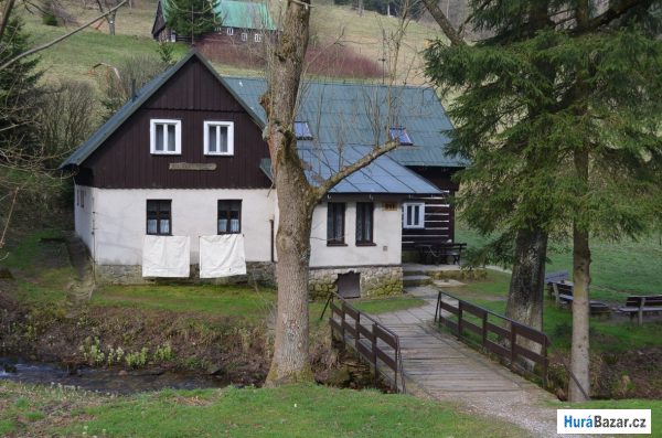 detailní fotografie