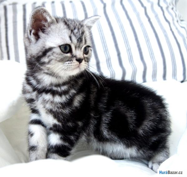 detailní fotografie