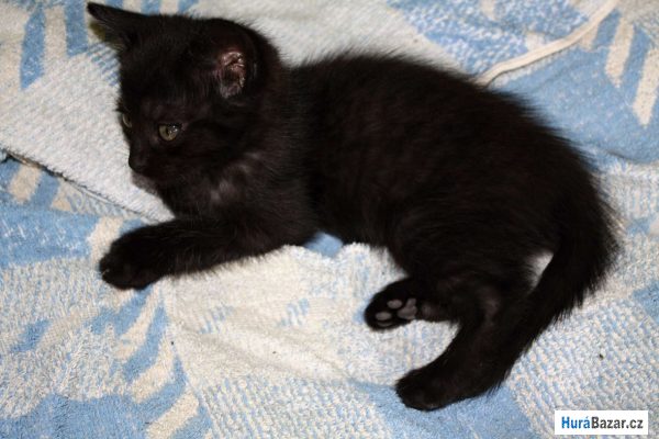 detailní fotografie