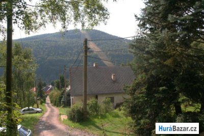 detailní fotografie