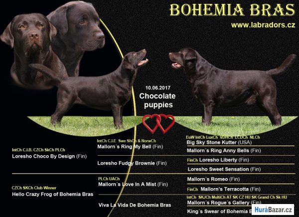 detailní fotografie