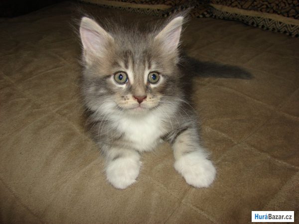 detailní fotografie