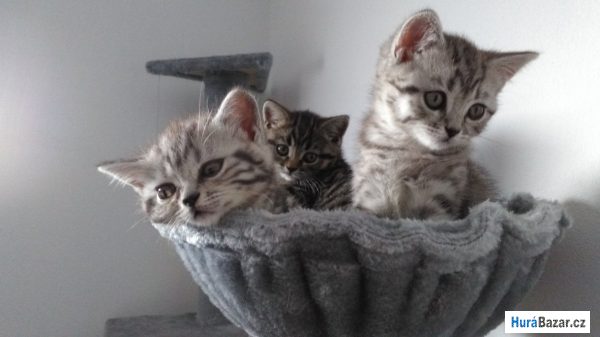 detailní fotografie