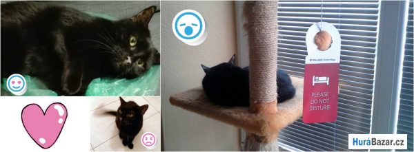 detailní fotografie