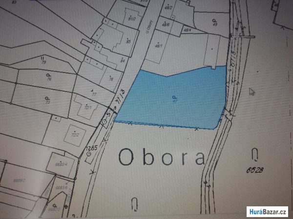 detailní fotografie