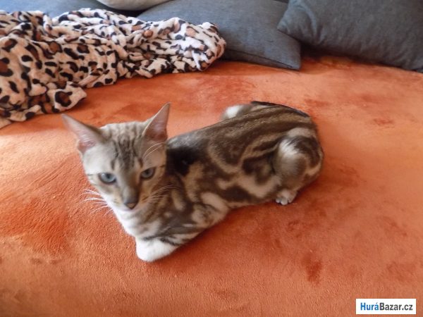 detailní fotografie