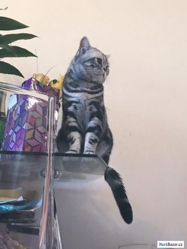 detailní fotografie