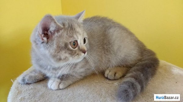 detailní fotografie