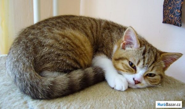 detailní fotografie