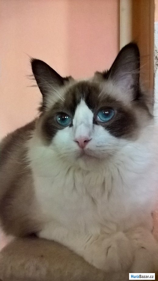 detailní fotografie