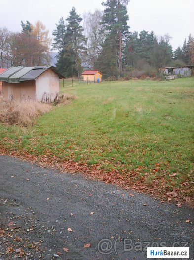 detailní fotografie