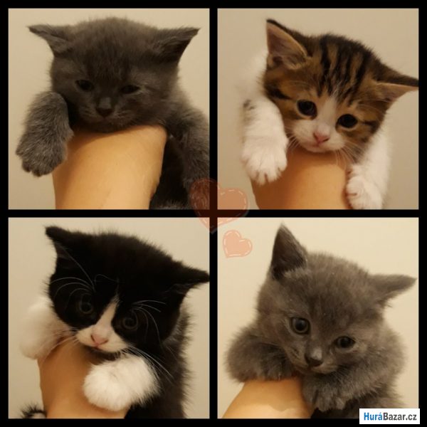 detailní fotografie