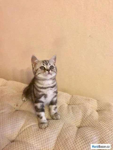 detailní fotografie